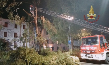 Nuova ondata di maltempo in provincia: albero caduto in Lungo Ticino Sforza