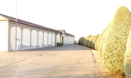 "Furti, scippi e raid sacrileghi: al cimitero di Medassino succede di tutto, dentro e fuori"