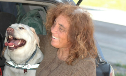 Muore a 62 anni per un incidente l'addestratrice Marisa Tagliabue, gestiva un centro per animali a Garlasco
