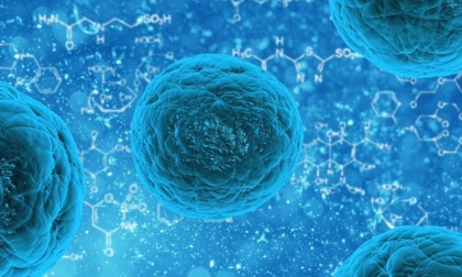 Metapneumovirus umano, allarme tra gli anziani: uno studio italiano fa luce sulla diffusione del virus respiratorio