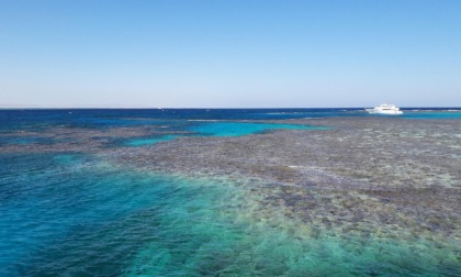 Studio pavese svela i meccanismi geologici che hanno portato all’apertura del Mar Rosso