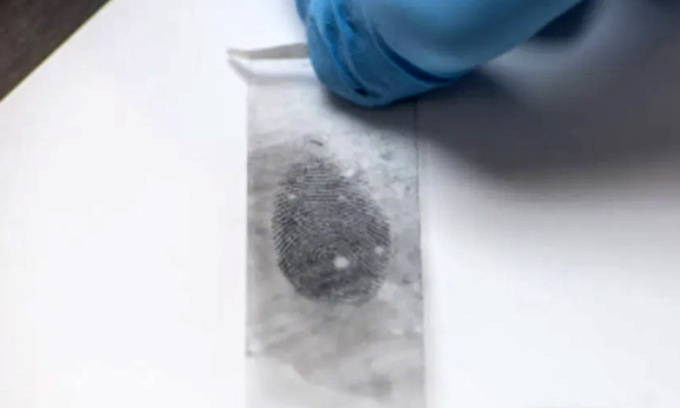 Garlasco, incidente probatorio: anche dalle “fascette” niente tracce utili per l’analisi del DNA