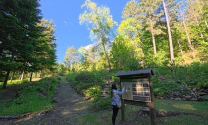 Estate tra natura e meraviglia: al Giardino Botanico di Pietra Corva ad agosto un ricco programma di eventi