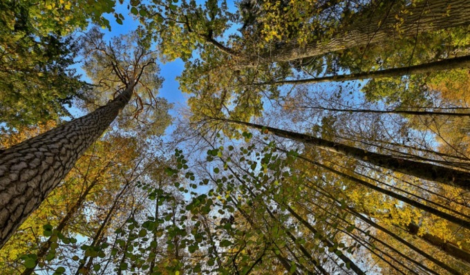 Caldo estremo, Pavia risponde con i “rifugi climatici”: ecco le prime 18 aree dove trovare sollievo in città