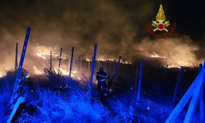 Incendio nella notte a Corvino San Quirico: brucia vigna e bosco