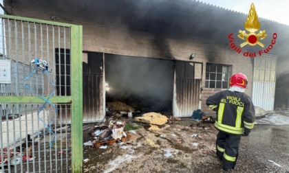 Incendio nella notte al canile Enpa di San Genesio: distrutte dalle fiamme le scorte alimentari