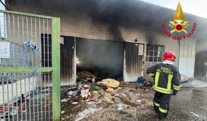 Incendio nella notte al canile Enpa di San Genesio: distrutte dalle fiamme le scorte alimentari