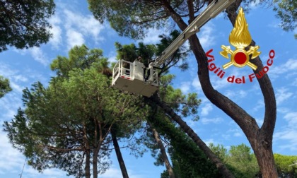 Vigili del Fuoco di Pavia in supporto ai soccorsi per il maltempo in Emilia Romagna