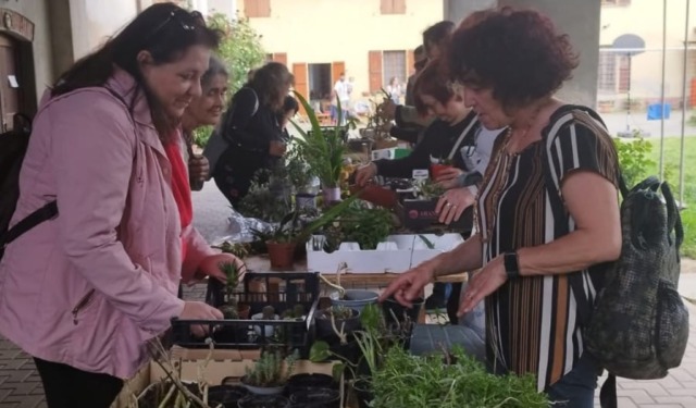 “Party Plants” in provincia di Pavia: l’evento dove le piante si scambiano e la solidarietà cresce