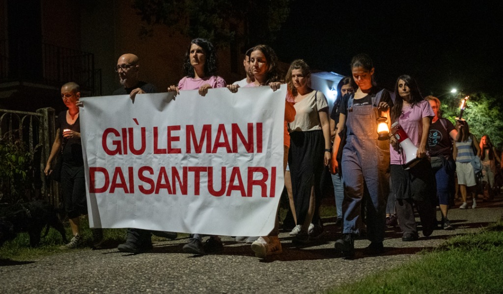 Una fiaccolata per non dimenticare, Sairano ricorda i 9 maiali uccisi nel rifugio “Cuori liberi”