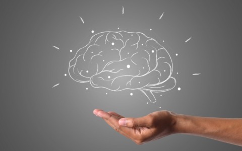 Pavia, città della salute: cinque giorni di incontri e attività gratuiti per il benessere del cervello