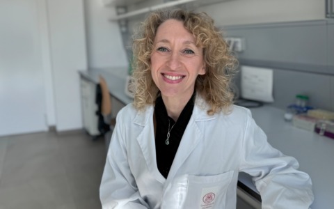 Dall’intestino al cervello: uno studio pavese svela nuovi legami tra infiammazione intestinale e Alzheimer