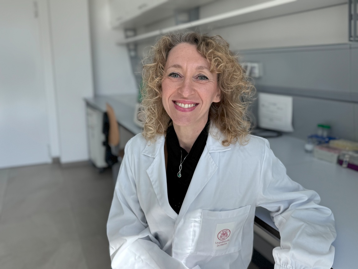 Dall’intestino al cervello: uno studio pavese svela nuovi legami tra infiammazione intestinale e Alzheimer