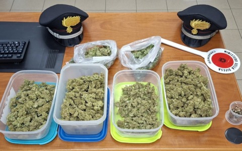 L’odore dello stupefacente porta i Carabinieri fino alla sua coltivazione di marijuana: arrestato