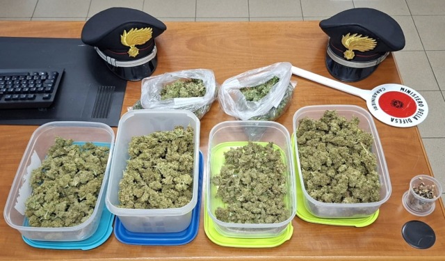 L’odore dello stupefacente porta i Carabinieri fino alla sua coltivazione di marijuana: arrestato