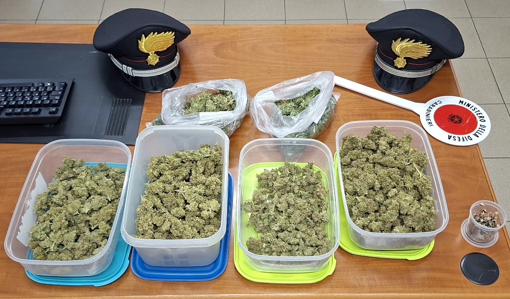 L’odore dello stupefacente porta i Carabinieri fino alla sua coltivazione di marijuana: arrestato