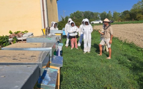 Dal carcere all’apicoltura, a Voghera arriva il primo mercatino solidale