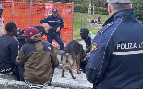 Cani antidroga in azione a Voghera: sequestrati hashish e cocaina, un centinaio di persone identificate