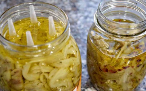 Intossicati dal botulino nelle melanzane sott’olio fatte in casa, salvati (di nuovo) dall’antidoto arrivato da Pavia