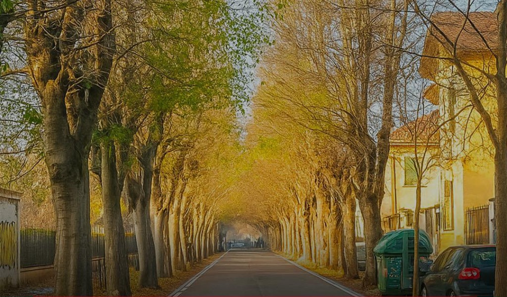 Potature in viale Gorizia: sabato 8 novembre stop al traffico veicolare