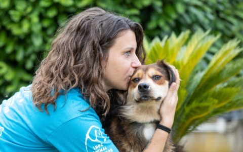 “Un inverno senza gabbie”: a Pavia la campagna di LNDC per adottare un cane in rifugio