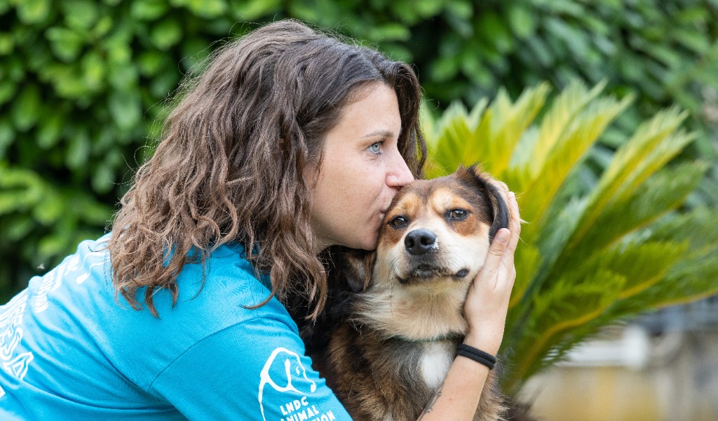 “Un inverno senza gabbie”: a Pavia la campagna di LNDC per adottare un cane in rifugio