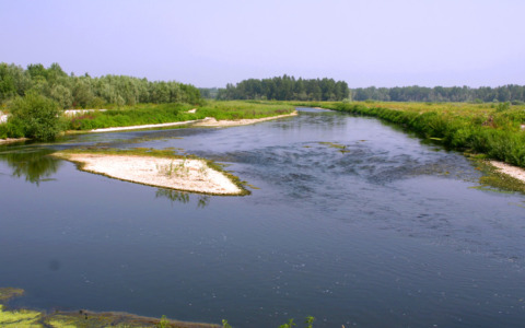 Il Parco del Ticino compie 50 anni: la mostra “Chiare Tracce” celebra la più antica area protetta d’Italia