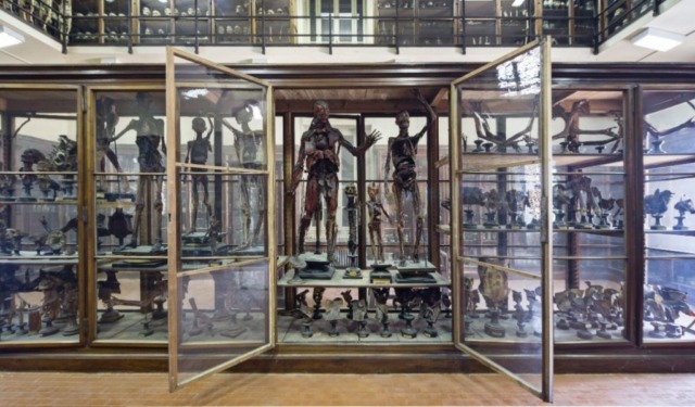 Cosa fare a Pavia e provincia nel weekend: eventi di sabato 8 e domenica 9 novembre 2025