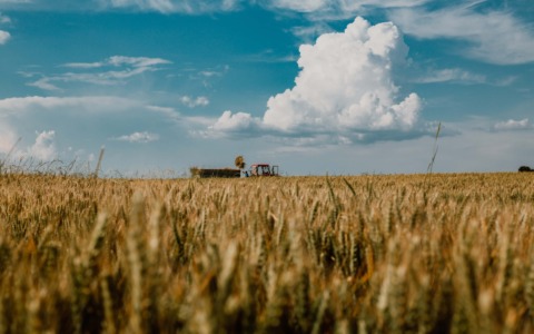 Cia Pavia: “Senza correttivi nella Legge di Bilancio, le aziende agricole non potranno più investire”
