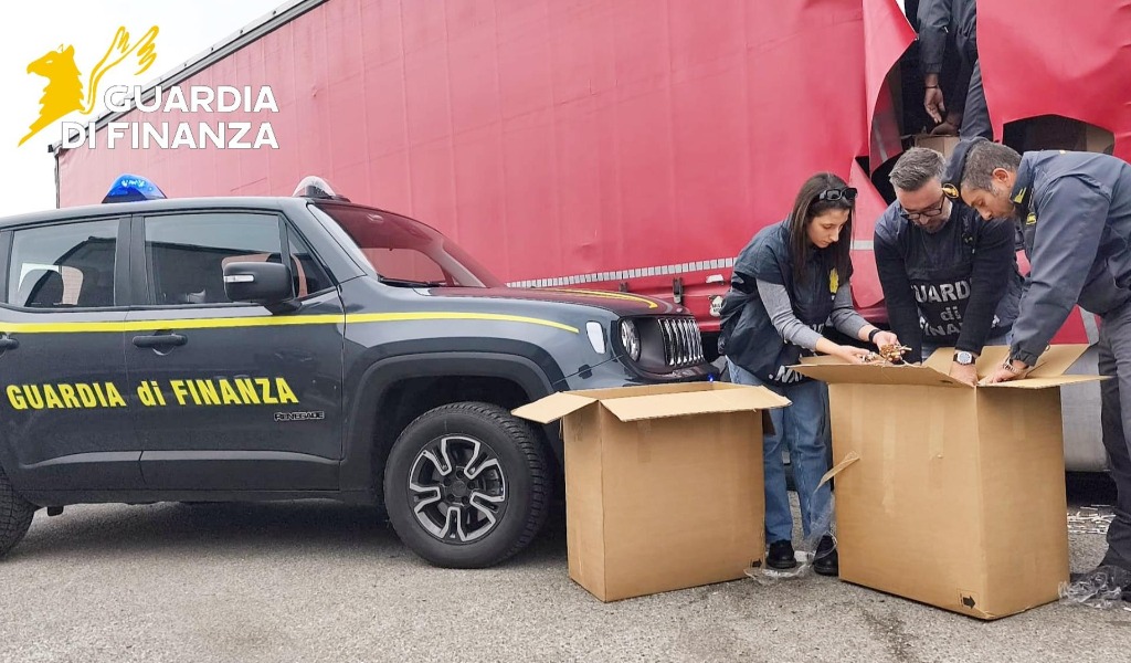 Maxi sequestro nel Pavese di tabacco di contrabbando destinato alla produzione di milioni di sigarette contraffatte