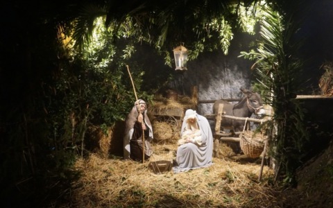 Cosa fare a Pavia e provincia nel weekend: eventi di sabato 27 e domenica 28 dicembre 2025