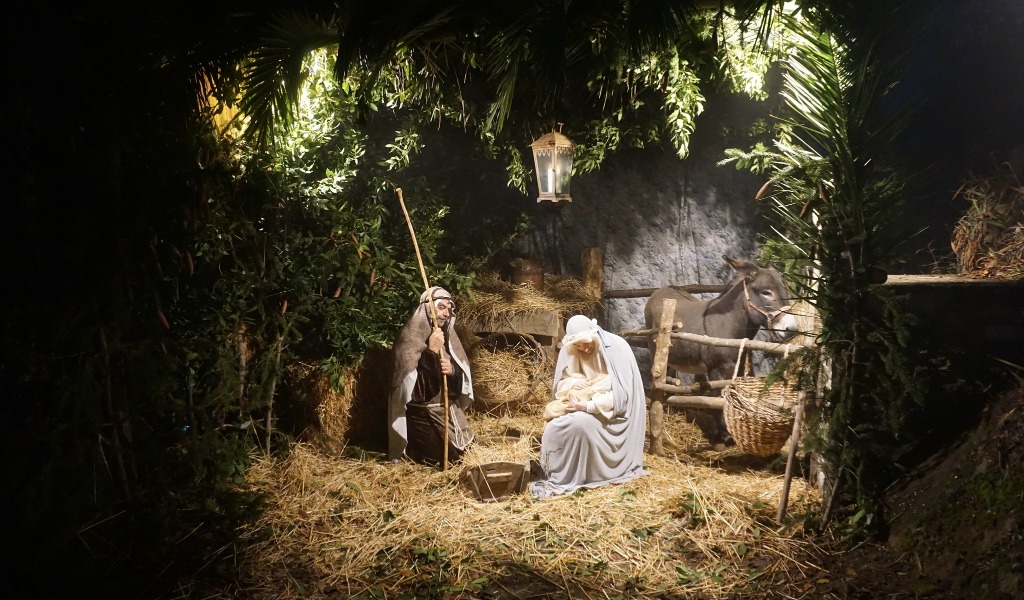 Cosa fare a Pavia e provincia nel weekend: eventi di sabato 27 e domenica 28 dicembre 2025