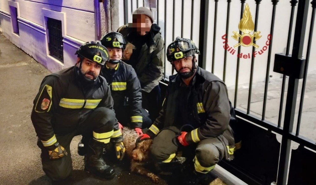 Cane scivola in una riva senza più riuscire a risalire, salvato dai Vigili del Fuoco