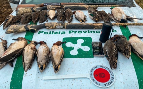 Bracconaggio sul fiume Po: tre cacciatori sorpresi con richiami vietati e senza porto d’armi