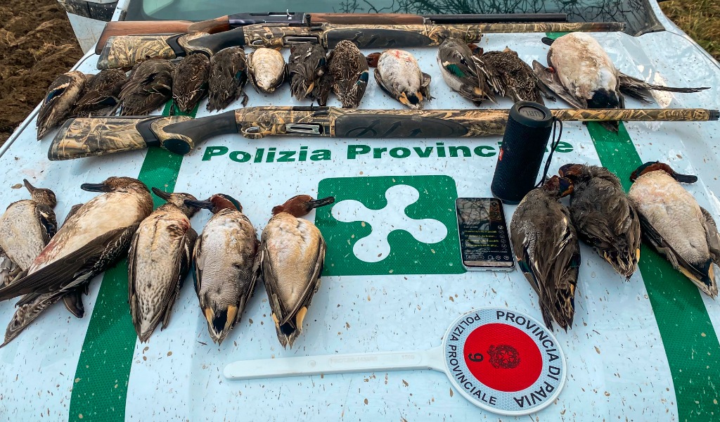 Bracconaggio sul fiume Po: tre cacciatori sorpresi con richiami vietati e senza porto d’armi
