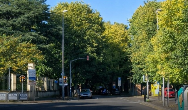 Viale Gorizia a Pavia: tra buche “killer” e cantieri lampo, in programma asfaltature complete