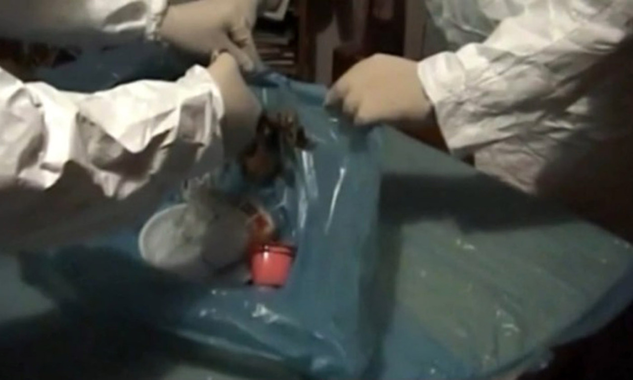 Garlasco, la nuova perizia dei Poggi: “Estathé con DNA Stasi in cucina, lì l’aggressione”