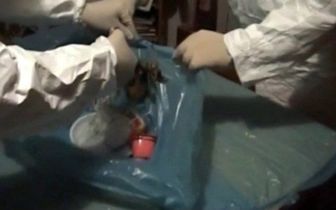 Garlasco, la nuova perizia dei Poggi: “Estathé con DNA Stasi in cucina, lì l’aggressione”