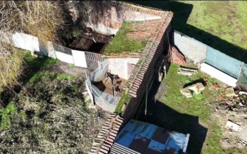 Pitbull e molossi in condizioni critiche a Zerbo: il “Castello dei Templari” trasformato in canile abusivo