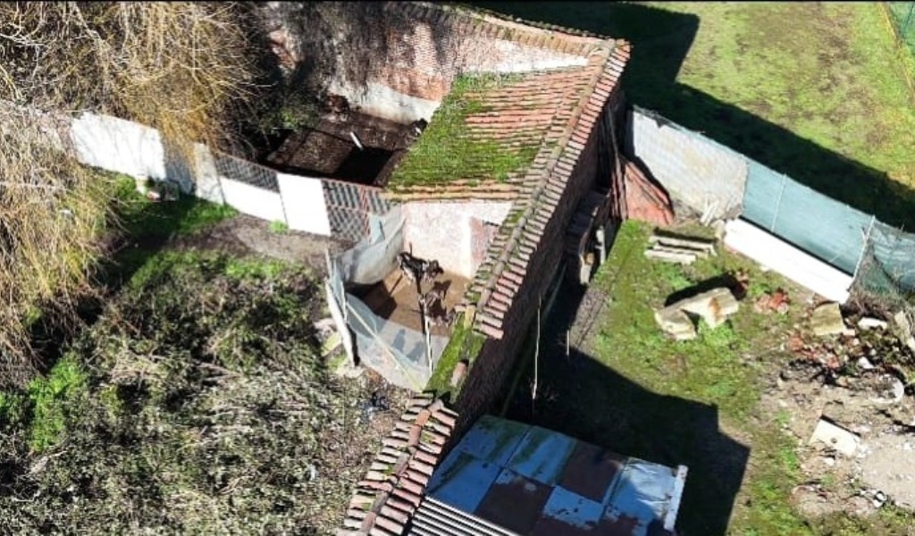 Pitbull e molossi in condizioni critiche a Zerbo: il “Castello dei Templari” trasformato in canile abusivo