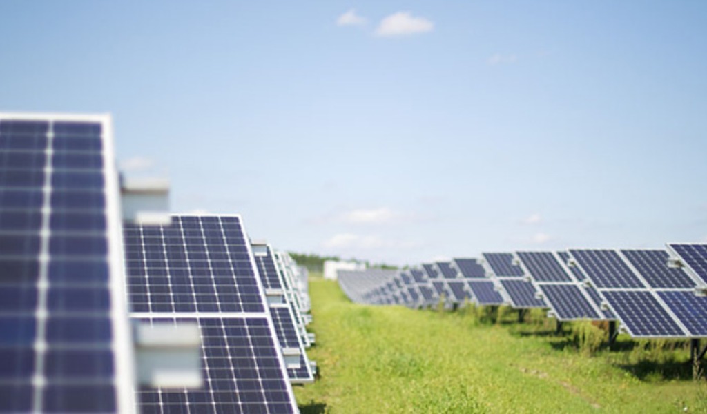 L’allarme di Centinaio: “No allo scempio del fotovoltaico selvaggio in provincia di Pavia”