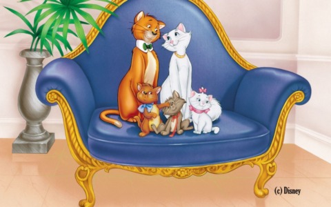 “Concerto in Miao”: un viaggio sonoro e visivo dedicato ai nostri amici felini