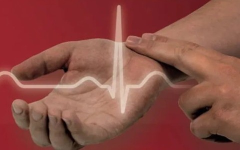 Pulse Day 2026: una passeggiata nel cuore di Pavia per salvaguardare il cuore