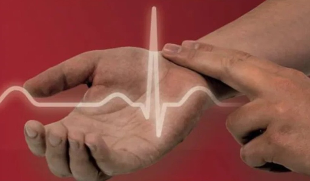 Pulse Day 2026: una passeggiata nel cuore di Pavia per salvaguardare il cuore