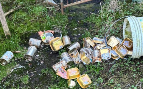 Via Tavazzani a Pavia: “Non sono le nutrie il vero problema, ma l’incuria umana”