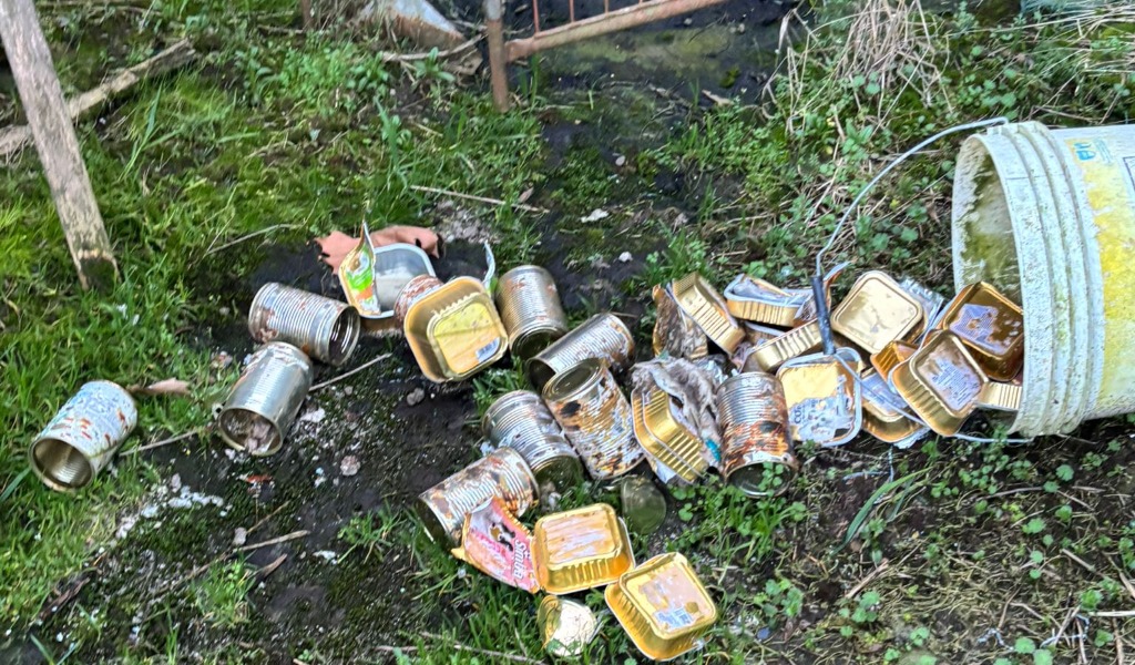 Via Tavazzani a Pavia: “Non sono le nutrie il vero problema, ma l’incuria umana”