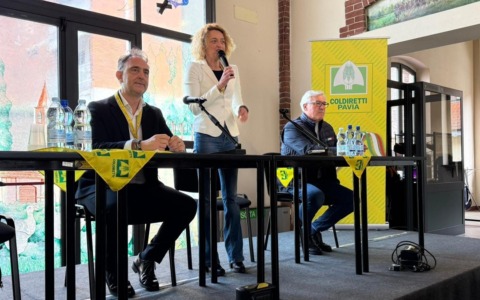 Difendere il riso italiano: tra sfide internazionali e gestione sostenibile dell’acqua