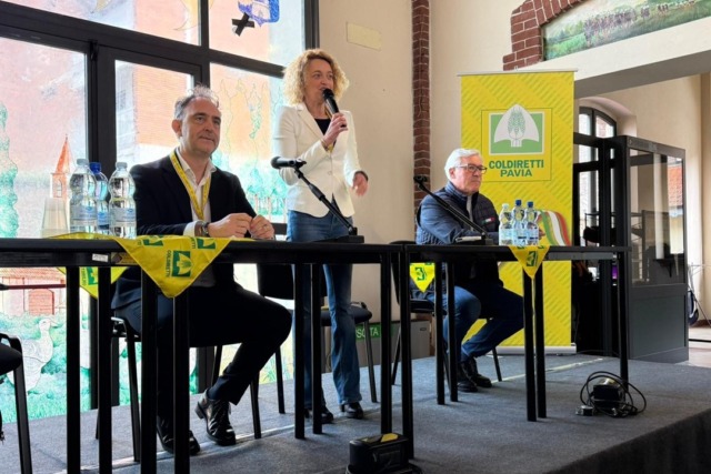 Difendere il riso italiano: tra sfide internazionali e gestione sostenibile dell’acqua