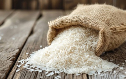 Riso italiano in bilico: Coldiretti e Confagricoltura chiedono protezioni urgenti dall’Europa