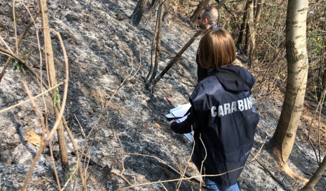 Incendio a Brallo di Pregola: due ettari di bosco e terreno agricolo distrutti